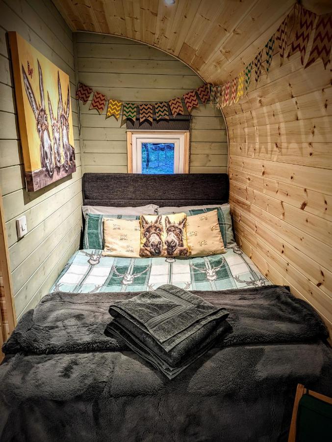 Emlyn'S Coppice - Luxury Woodland Glamping Villa Holywell  Exterior photo